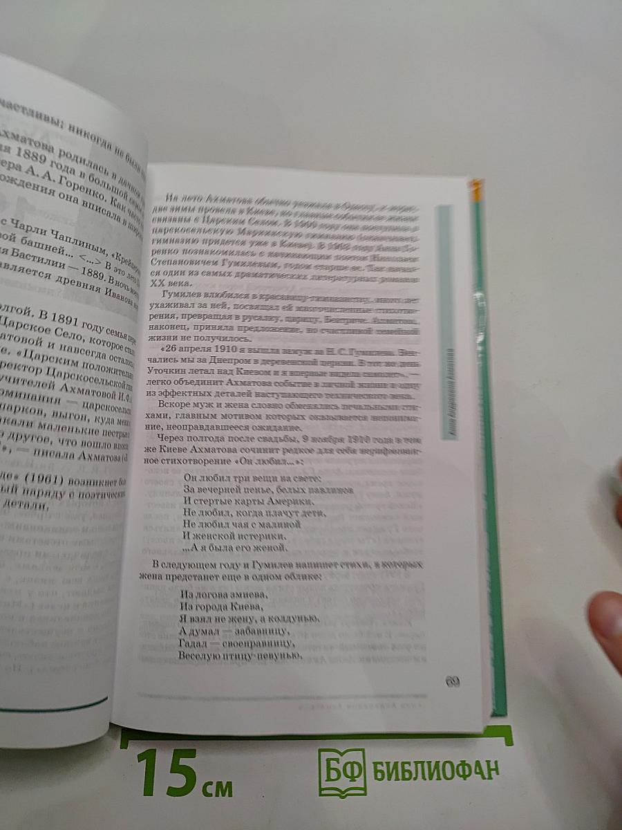 Русский язык и литература. 11 класс. Базовый уровень. Часть 2