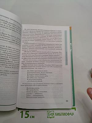 Русский язык и литература. 11 класс. Базовый уровень. Часть 2