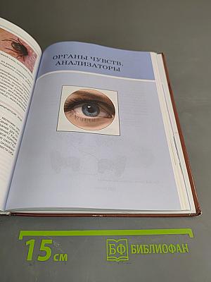 Биология. Человек и его здоровье. 9 класс