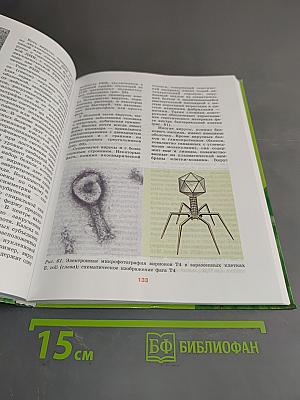 Биология. 10-11 классы. Часть 1. Углублённый уровень