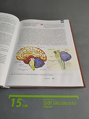 Биология. Человек и его здоровье. Учебник для учащихся 9-го класса общеобразовательных организаций
