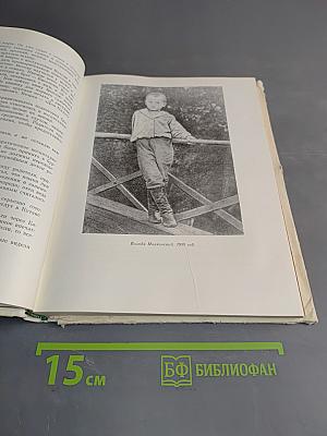 О Владимире Маяковском