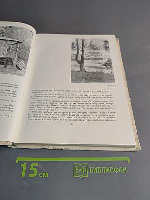 О Владимире Маяковском. Из воспоминаний сестры