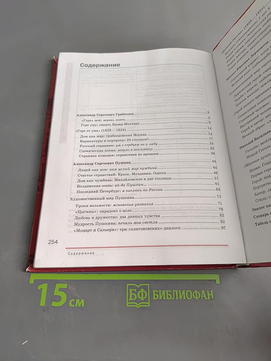 Литература. Учебник для 9 класса общеобразовательных организаций. В двух частях. Часть 2