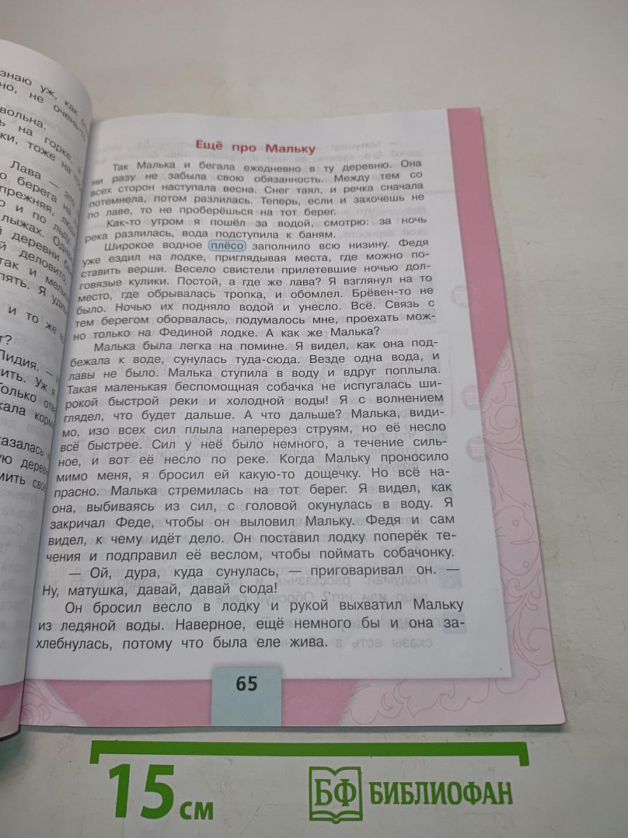 Литературное чтение. 3 класс. Часть 2