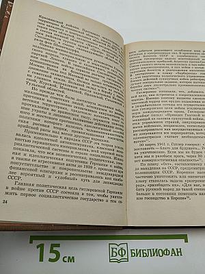В тылу немецко-фашистских армий «Центр». Всенародная борьба на оккупированной Территории западных областей РСФСР 1941-1943 гг.