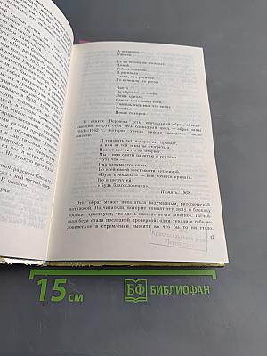 Санкт-Петербург в русской литературе. Учебник-хрестоматия. Том 2