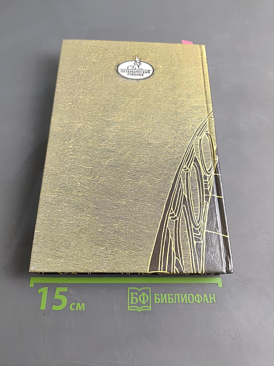 Санкт-Петербург в русской литературе. Учебник-хрестоматия. Том 2