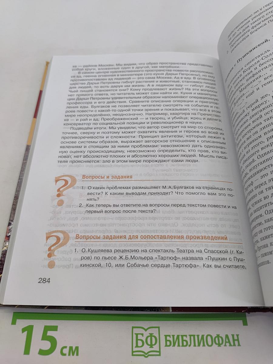 Литература. Учебник для 8 класса. Часть 2