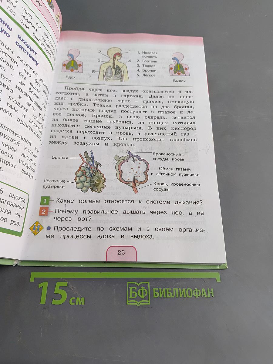 Окружающий мир. Учебник для 3 класса общеобразовательных учреждений. Часть вторая