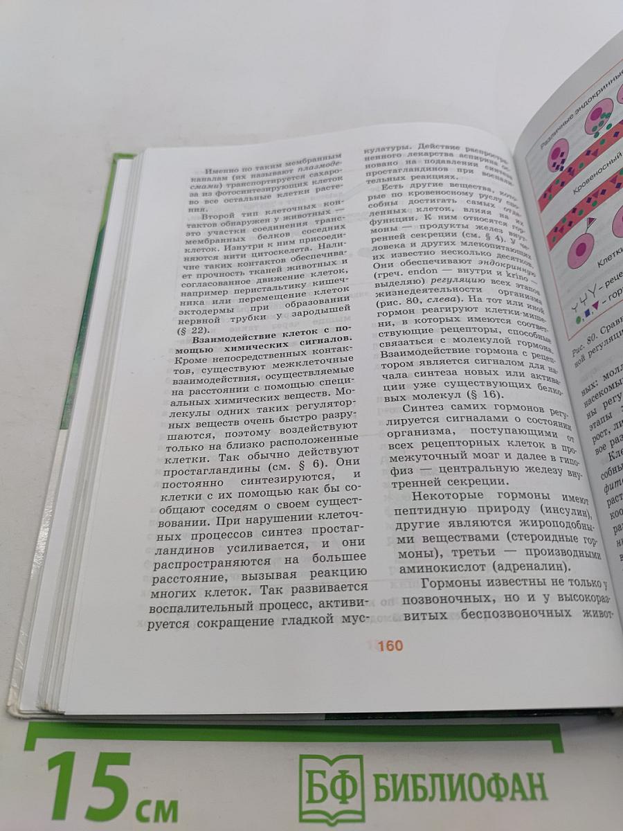 Биология. 10-11 классы. Углубленный уровень. Часть 1