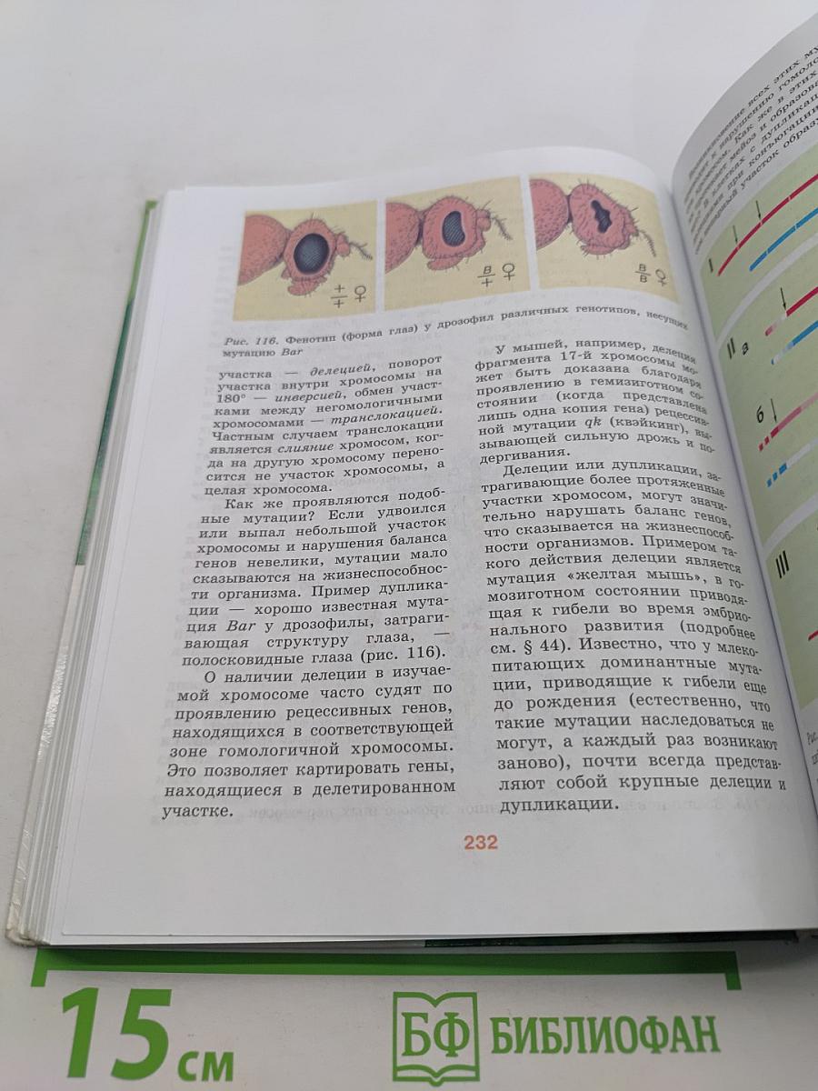 Биология. 10-11 классы. Углубленный уровень. Часть 1