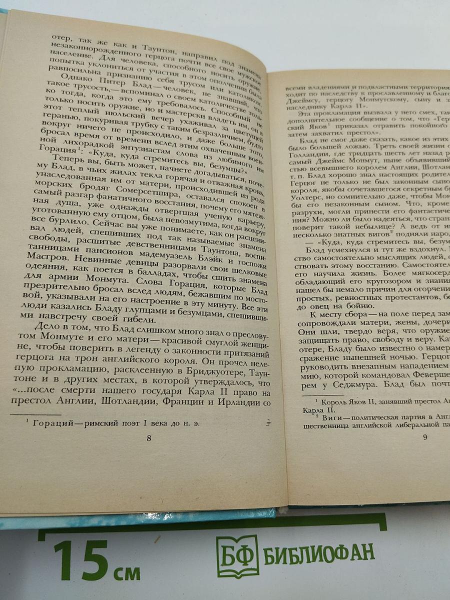Одиссея капитана Блада. Хроника капитана Блада
