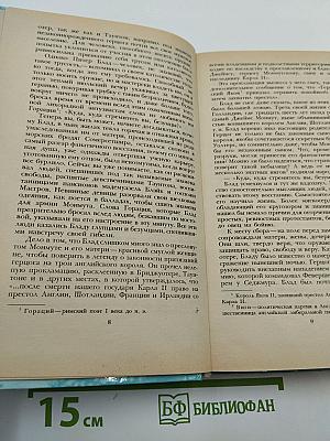 Одиссея капитана Блада. Хроника капитана Блада