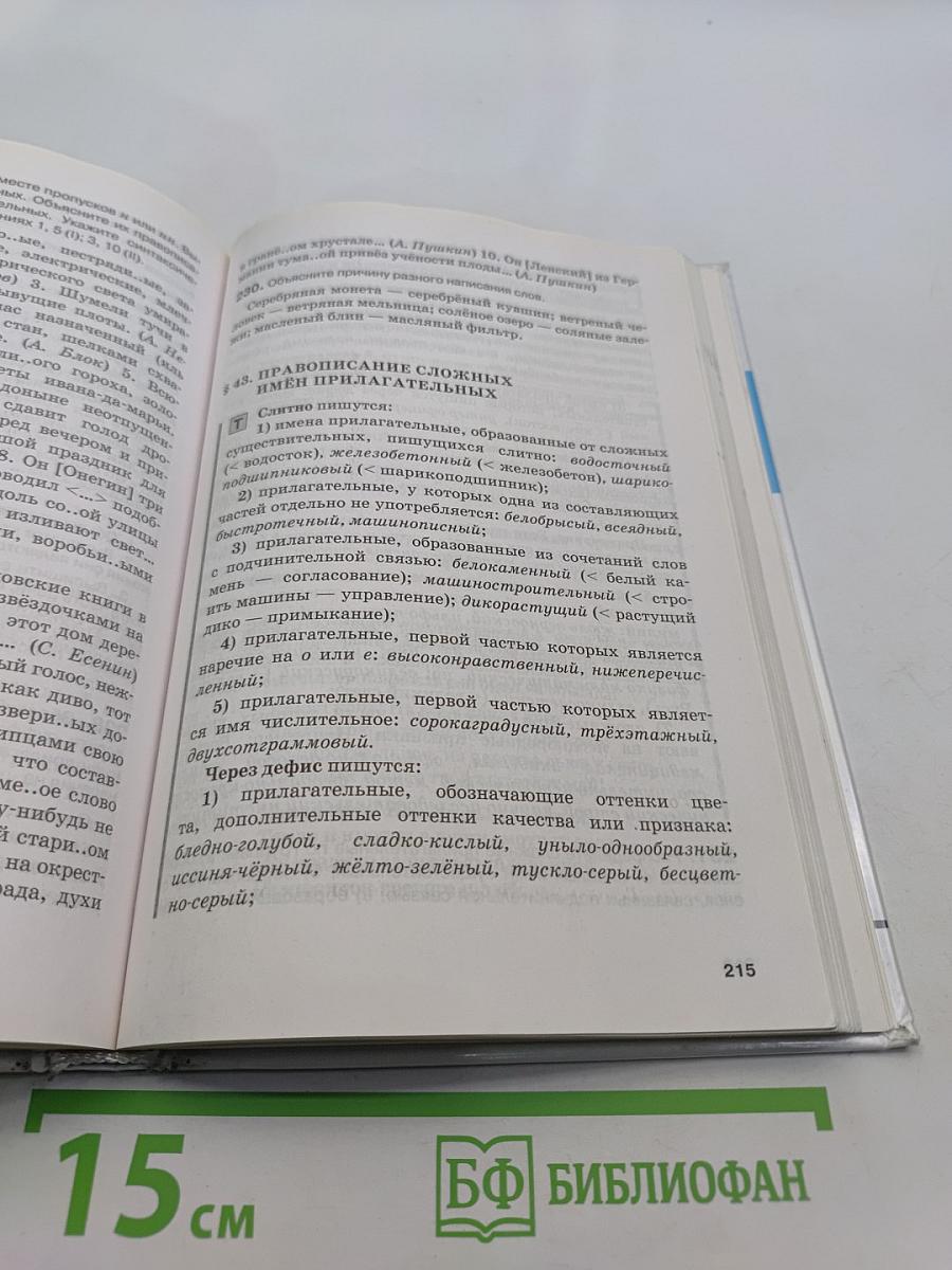 Русский язык 10-11 классы. Часть 1