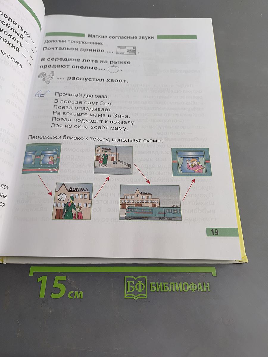 Произношение. Мир звуков. Учебник для специальных (коррекционных) школ V вида. 2 класс.