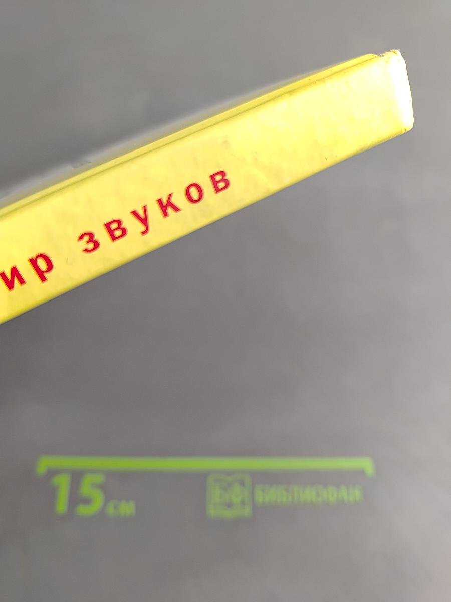 Произношение. Мир звуков. Учебник для специальных (коррекционных) школ V вида. 2 класс.
