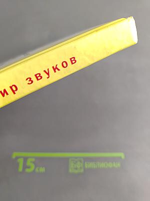 Произношение. Мир звуков. Учебник для специальных (коррекционных) школ V вида. 2 класс.