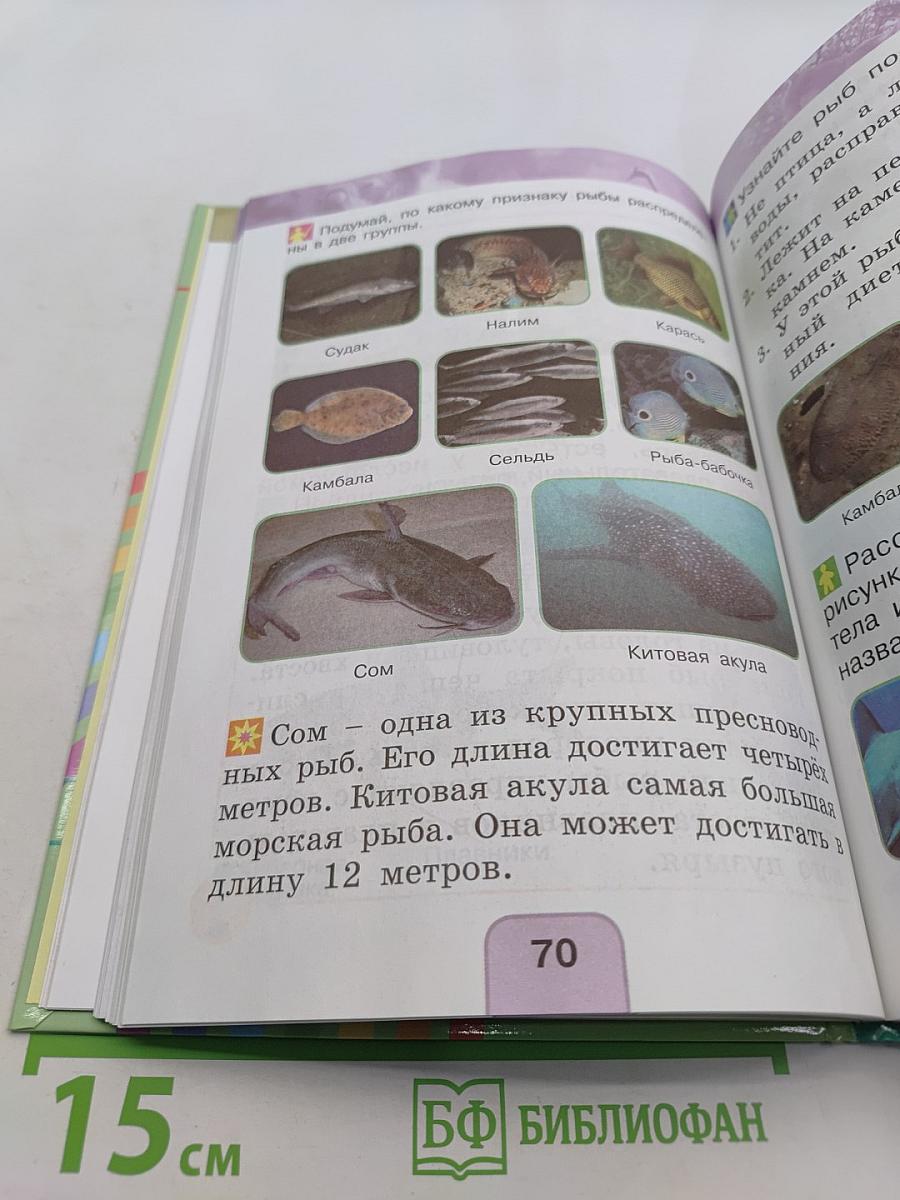 Окружающий мир. Учебник для 1 класса общеобразовательных учреждений. В двух частях. Часть вторая
