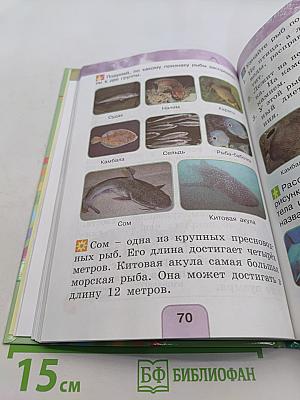Окружающий мир. Учебник для 1 класса общеобразовательных учреждений. В двух частях. Часть вторая