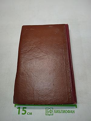 Поджигатели. Книга вторая