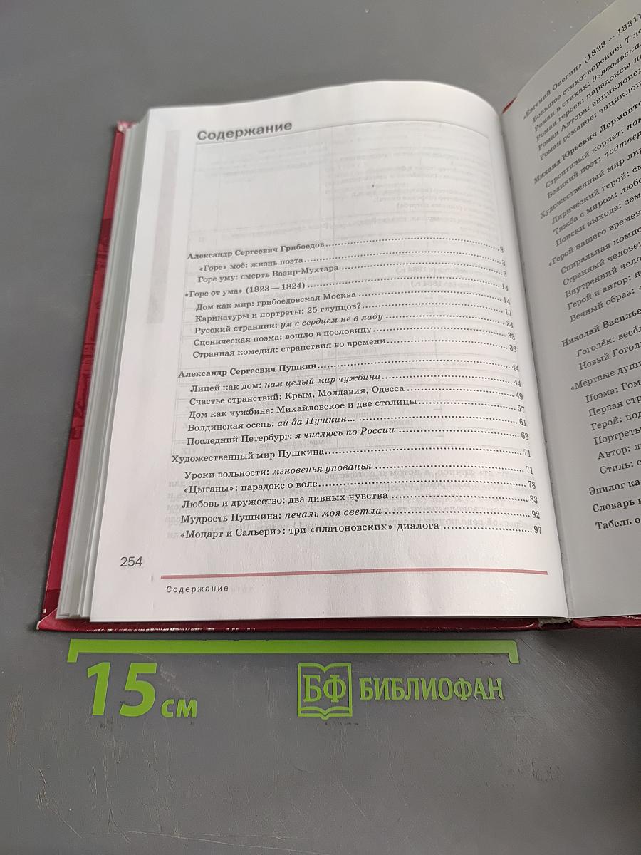 Литература. Учебник для 9 класса общеобразовательных организаций. В двух частях. Часть 2
