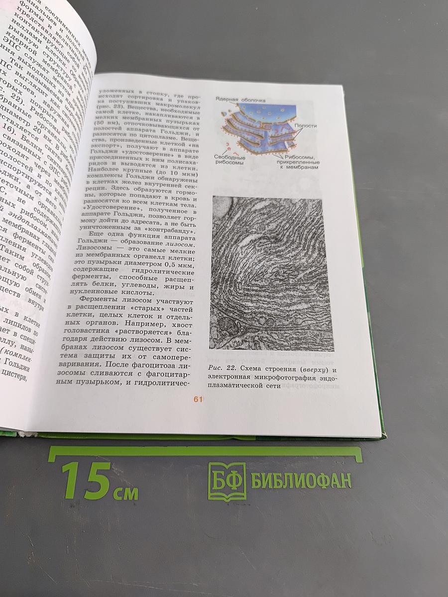 Биология. Часть 1. Углублённый уровень. 10-11 классы