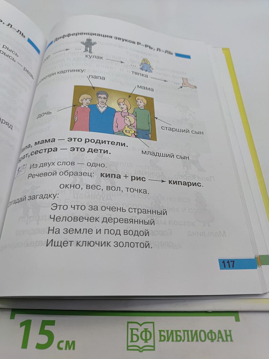 Произношение. Мир звуков. Учебник для специальных (коррекционных) школ V вида. 2 класс