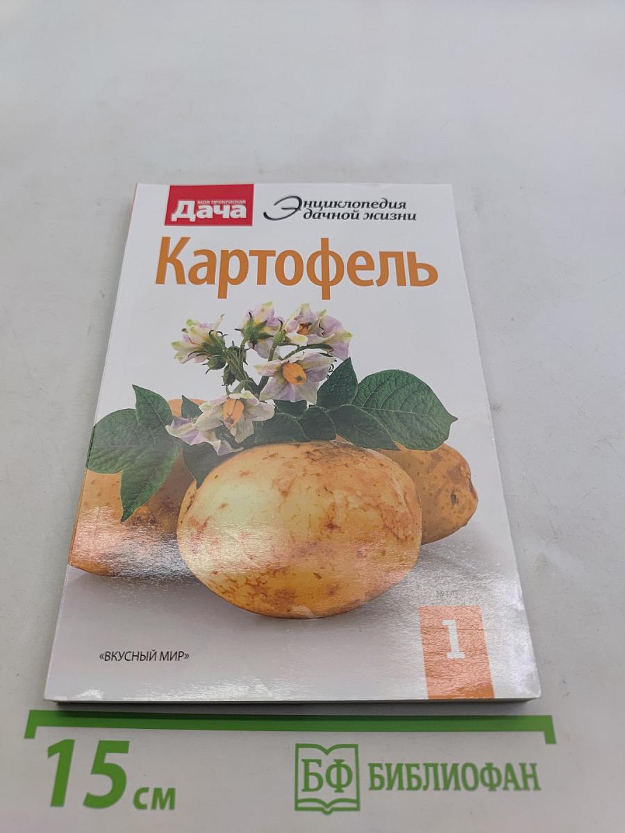 Картофель