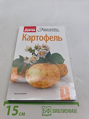 Картофель