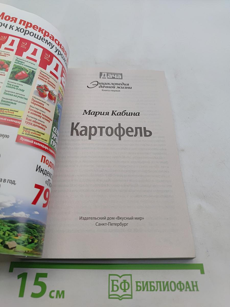 Картофель