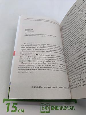 Картофель