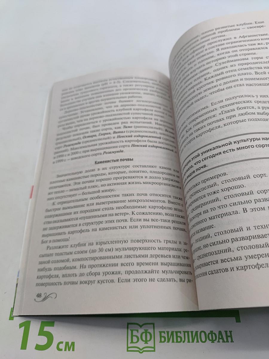 Картофель