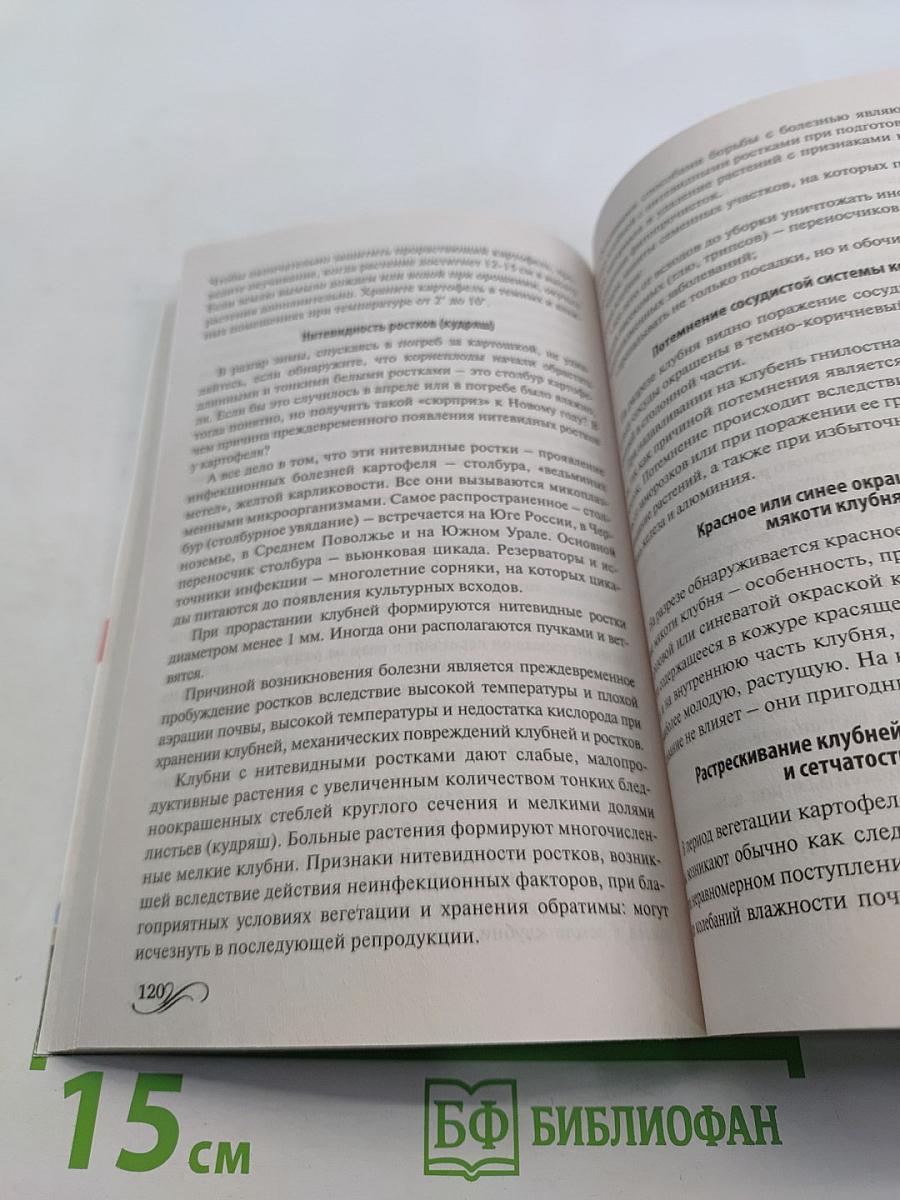 Картофель