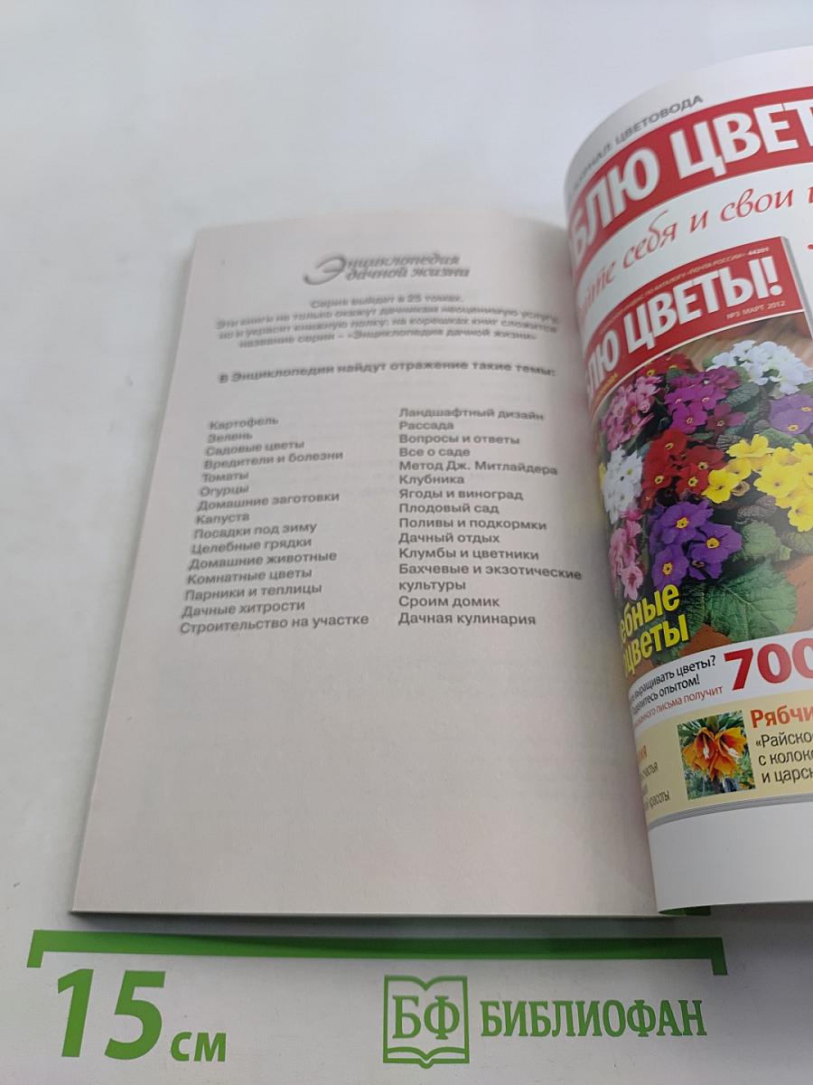 Картофель