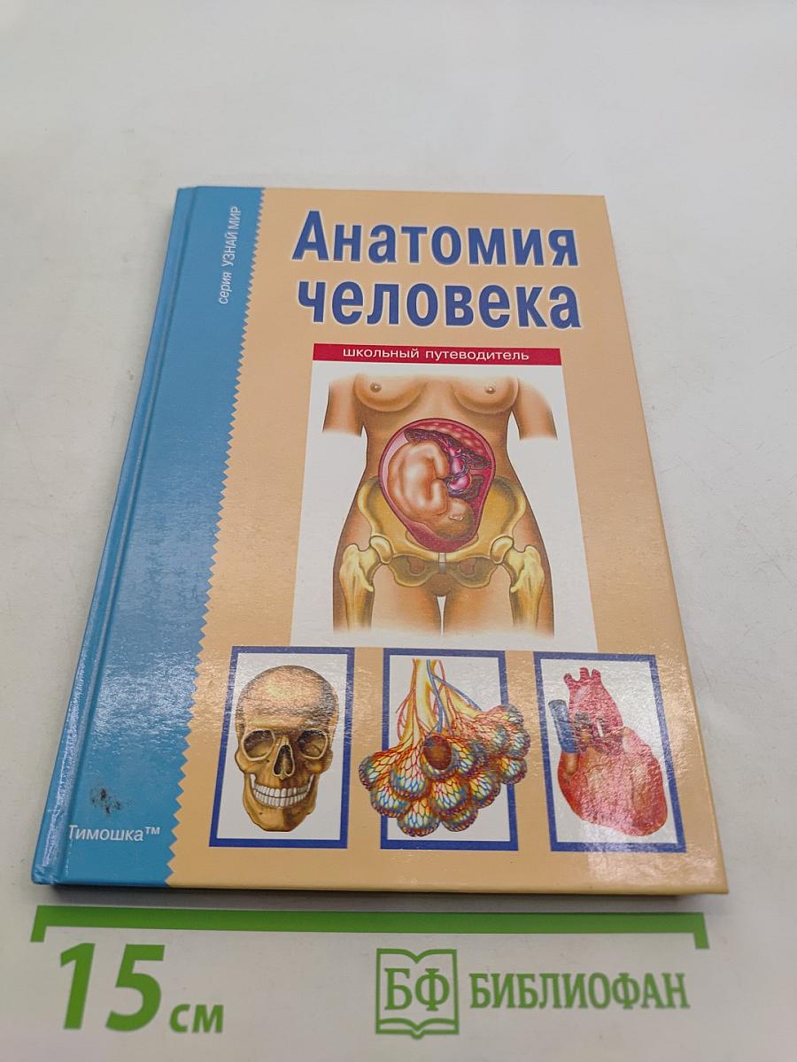 Анатомия человека. Школьный путеводитель