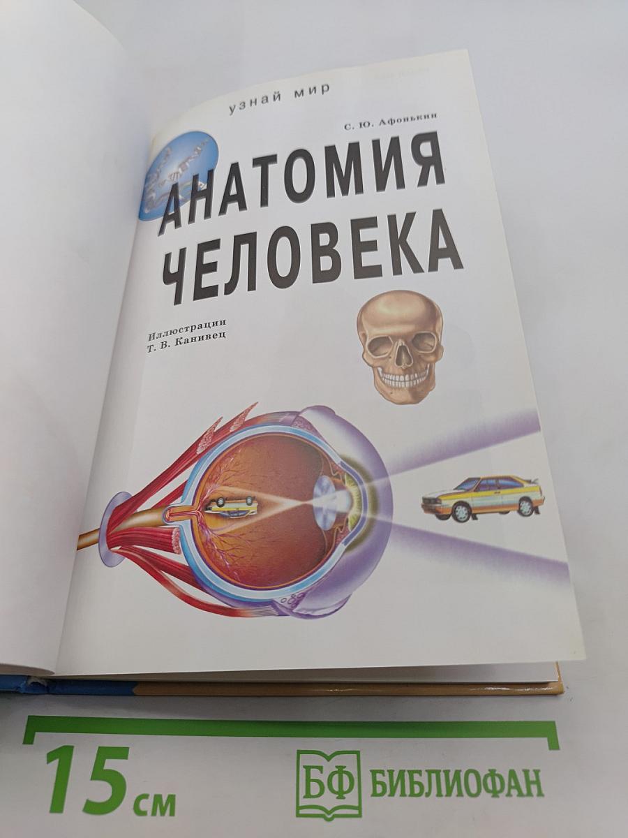 Анатомия человека. Школьный путеводитель