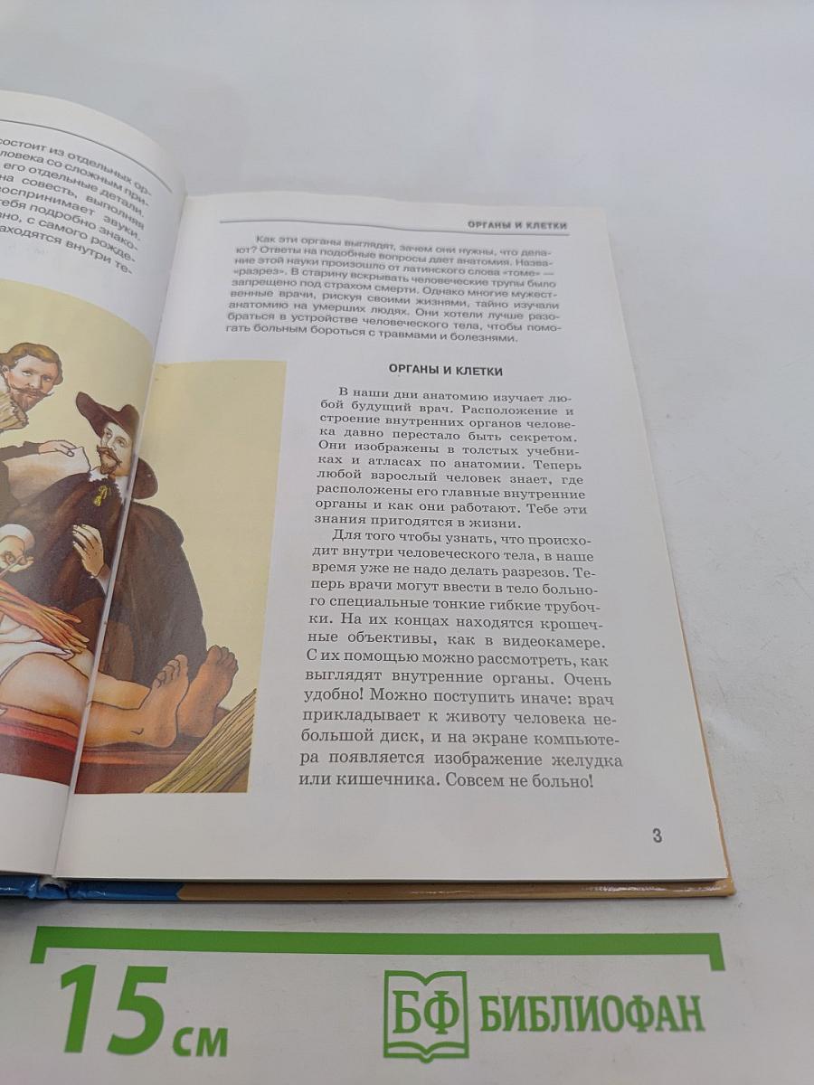 Анатомия человека. Школьный путеводитель