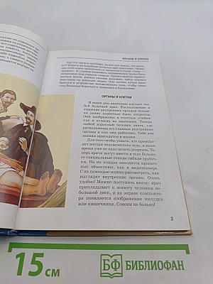 Анатомия человека. Школьный путеводитель