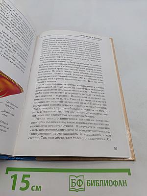 Анатомия человека. Школьный путеводитель
