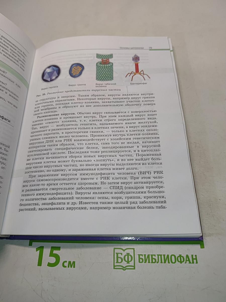 Биология. Общая биология. 10-11 классы