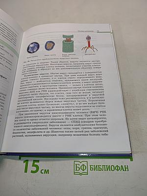 Биология. Общая биология. 10-11 классы