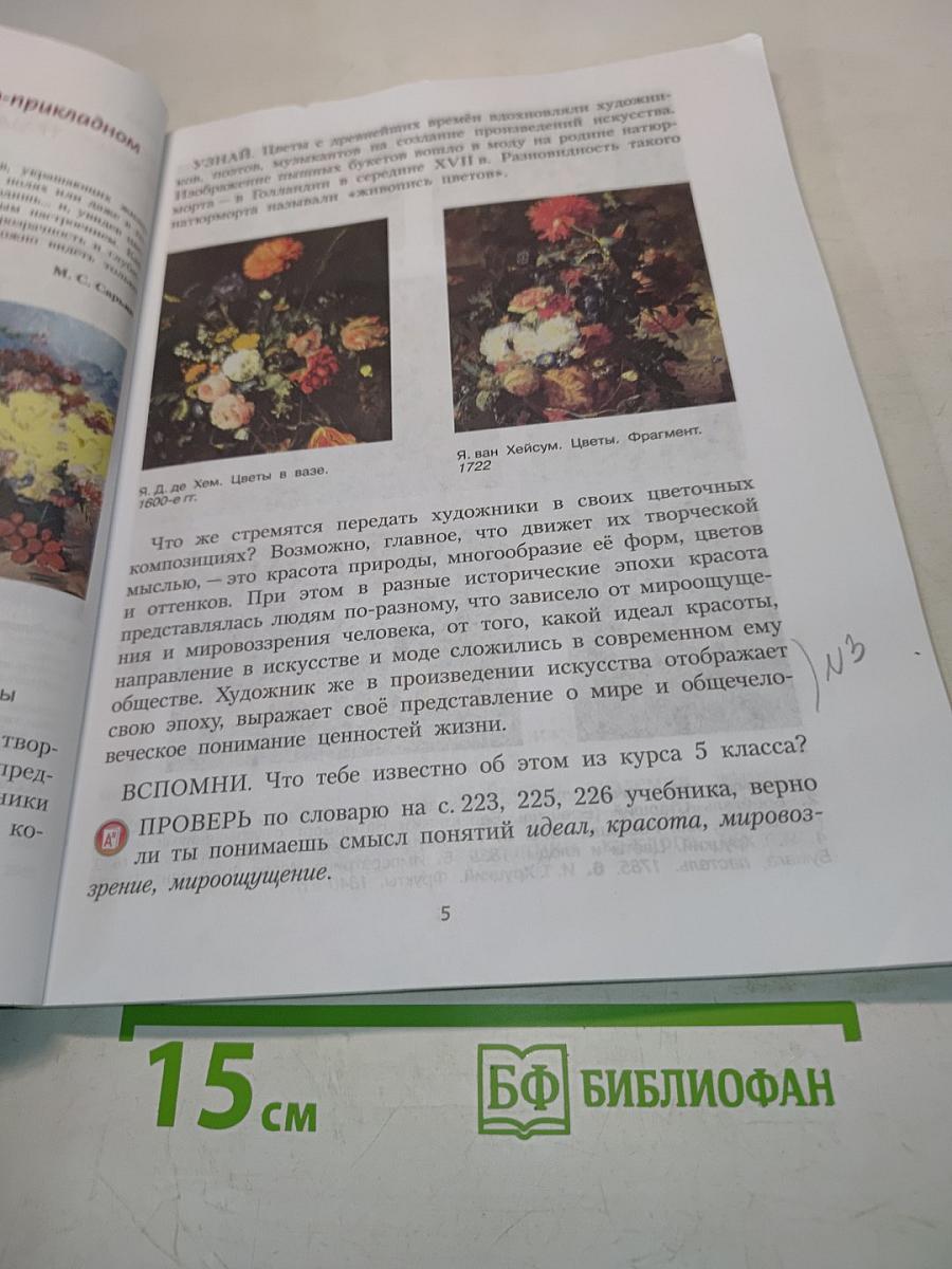 Изобразительное искусство. 6 класс