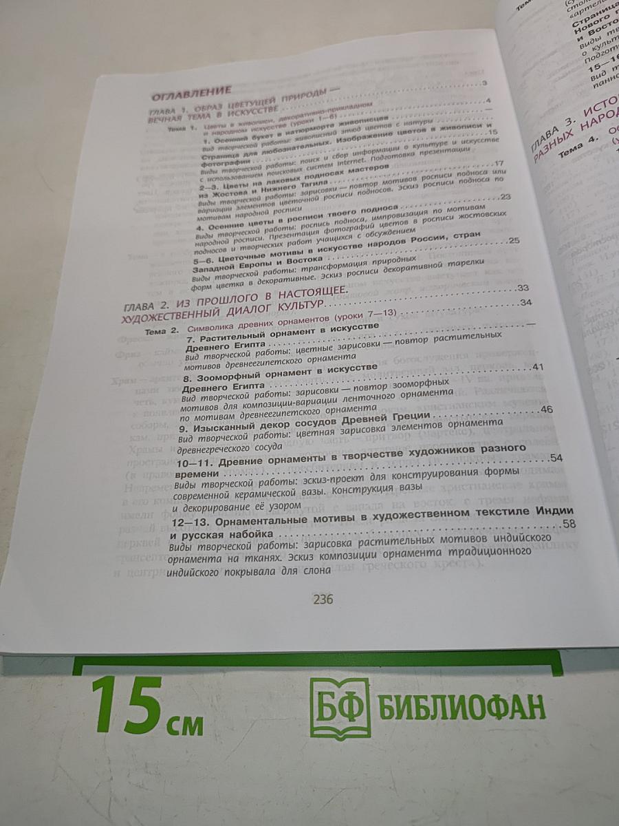 Изобразительное искусство. 6 класс