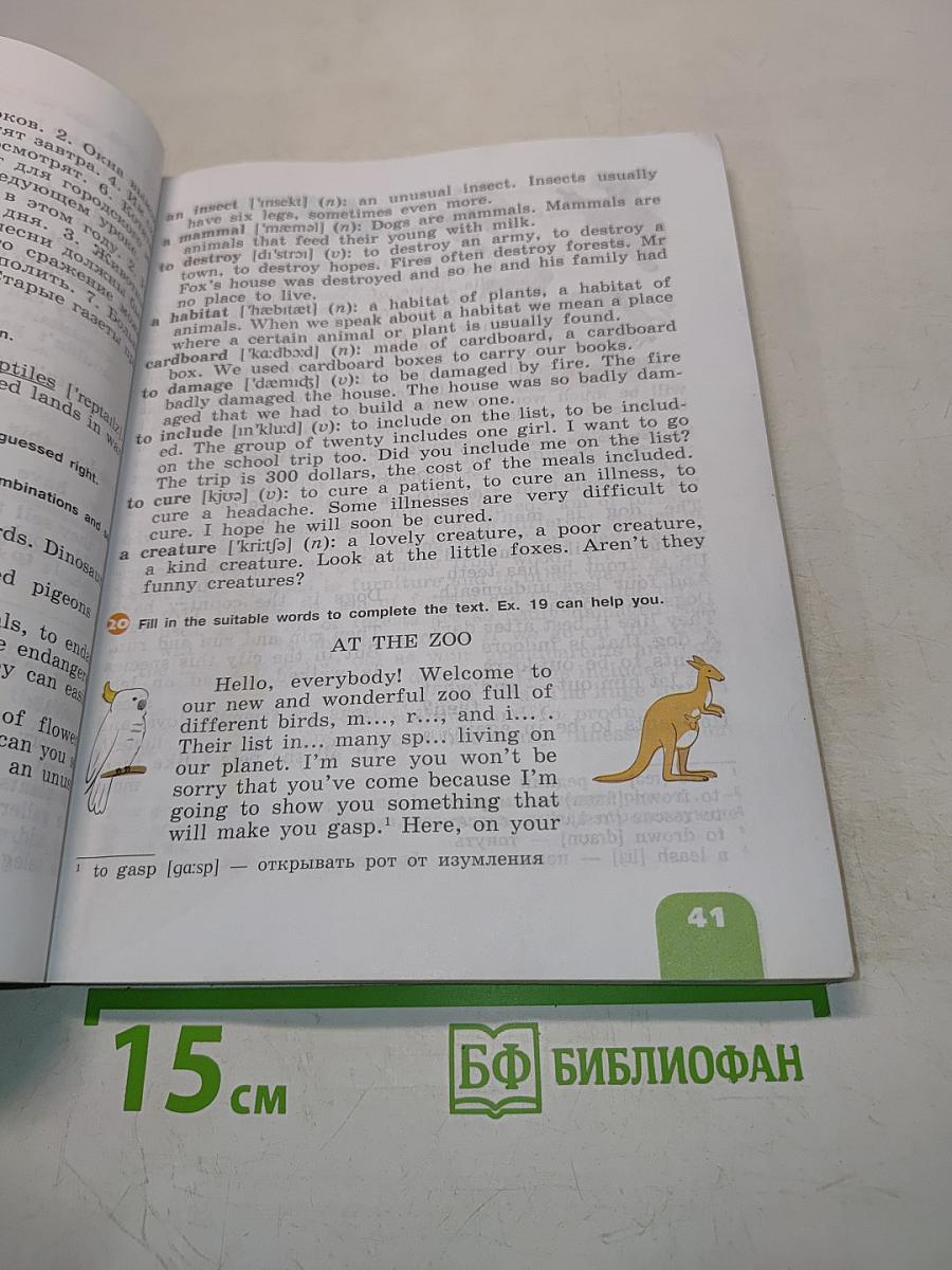 Английский язык. VI класс. Student's Book