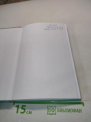 Литература. Практикум. 11 класс