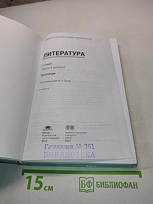 Литература. Практикум. 11 класс