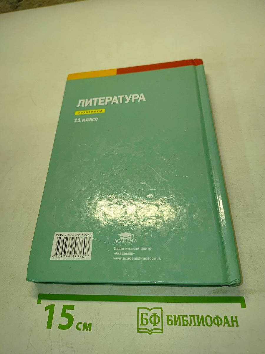 Литература. Практикум. 11 класс
