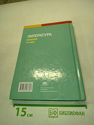 Литература. Практикум. 11 класс