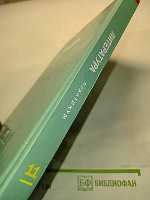 Литература. Практикум. 11 класс